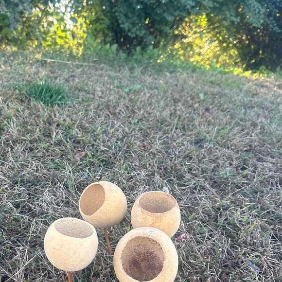 Multi piece gourd lotus natural decor  set - Picture 10 of 13